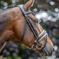 Outlet - Bridon de dressage Kudos Patent / blanc Bridons Poneys|Bridons