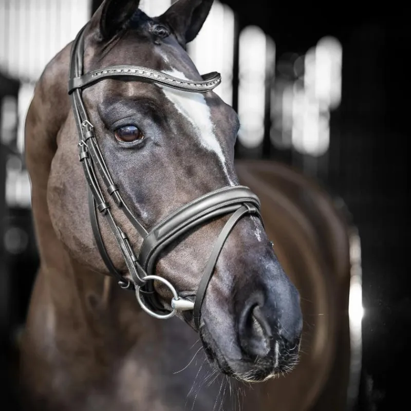 Clearance - Bridon de dressage Arika / argent Bridons Poneys|Bridons