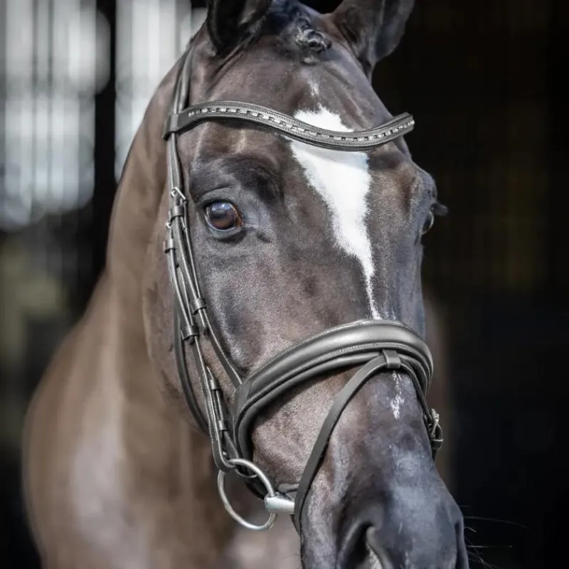 Clearance - Bridon de dressage Arika / argent Bridons Poneys|Bridons