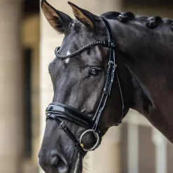 Bridons Poneys|Bridons*LeMieux - Bridon de dressage Kudos Patent Noir