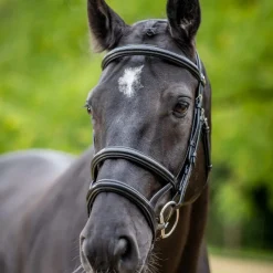 Bridons*LeMieux - Bridon double muserolle Kudos / argent Noir