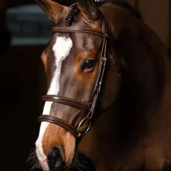 Best - Bridon double muserolle Kudos havane/ laiton Bridons