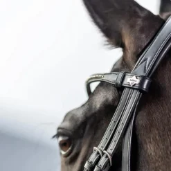 Bridons Poneys|Bridons*LeMieux - Bridon Kudos Classic Dressage Noir