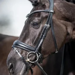 Bridons Poneys|Bridons*LeMieux - Bridon Kudos Classic Dressage Noir