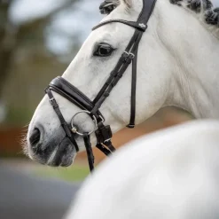 - Bridon Kudos Classic Dressage Bridons Poneys|Bridons