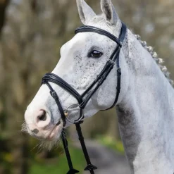 Bridons Poneys|Bridons*LeMieux - Bridon Kudos Competition Flash Noir