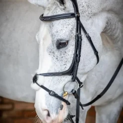 - Bridon Kudos Grackle muserolle croisée Bridons Poneys|Bridons