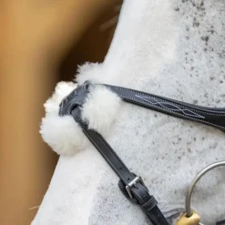 - Bridon Kudos Grackle muserolle croisée Bridons Poneys|Bridons