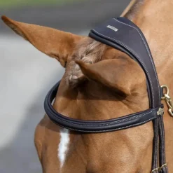 Bridons Poneys|Bridons*LeMieux - Bridon Kudos Work Marron