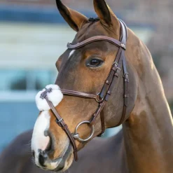 Bridons Poneys|Bridons*LeMieux - Bridon muserolle croisée Arika havane/ argent Marron