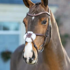 Bridons Poneys|Bridons*LeMieux - Bridon muserolle croisée Arika havane/ argent Marron