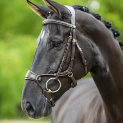 Bridons Poneys|Bridons*LeMieux - Bridon muserolle anatomique Kudos havane Marron