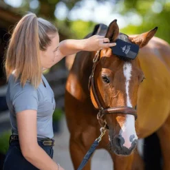 Brosses À Crins*LeMieux - Brosse à crins Heritage Tangle Tidy Noir