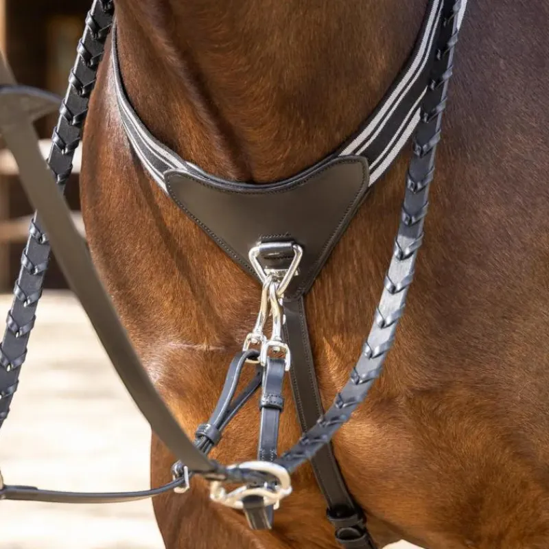 Colliers De Chasse*LeMieux - Collier de chasse avec élastique Arika / argent Noir