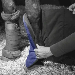 Cotons Américain*LeMieux - Cotons américains doublés bambou (x2) Noir