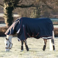 Couvertures Poneys|Couvertures Et Chemises*LeMieux - Couvre-cou pour couverture d'extérieur Kudos Turnout 100g Marine