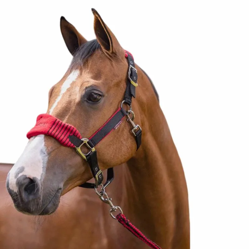 Best - Ensemble licol + longe Vogue noir/ Ensembles Licols Et Longes