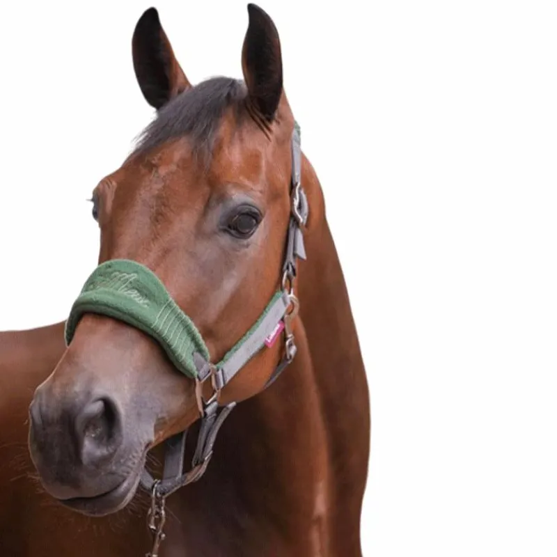 Ensembles Licols Et Longes*LeMieux - Ensemble licol + longe Vogue gris/ Vert