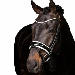 Outlet - Frontal Ice Crystal Frontaux