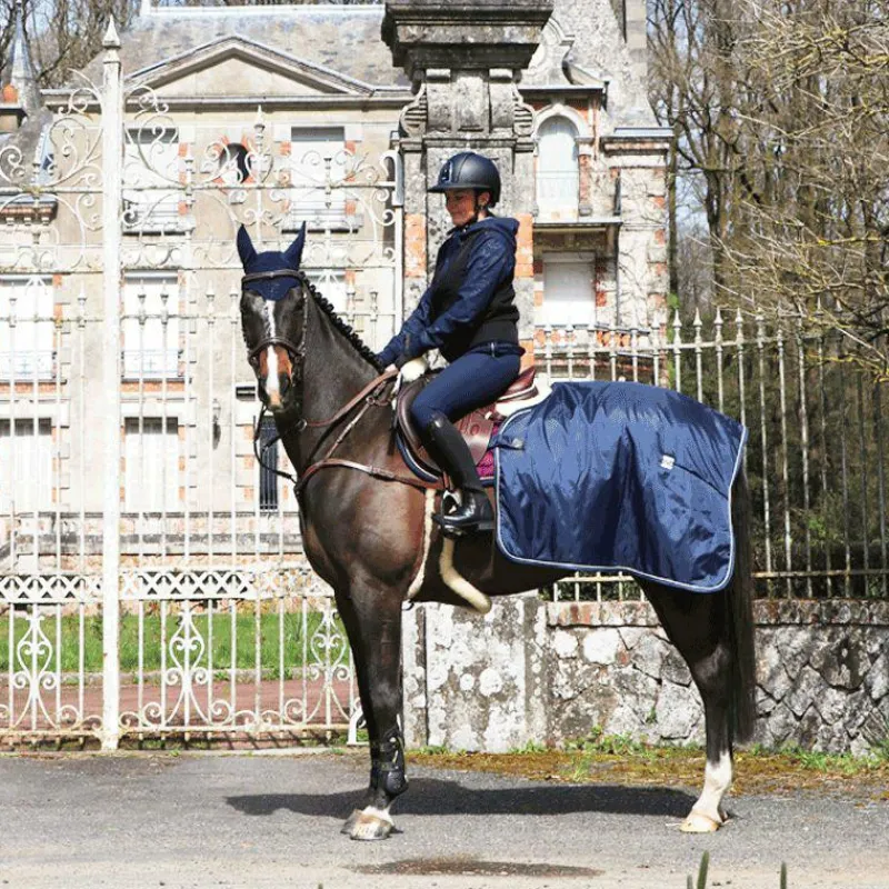 Gants D'Équitation|Gants D'Équitation*LeMieux - Gants d'équitation Pro Touch Noir