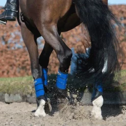 Guêtres Fermées*LeMieux - Guêtres fermées Grafter x2 Bleu