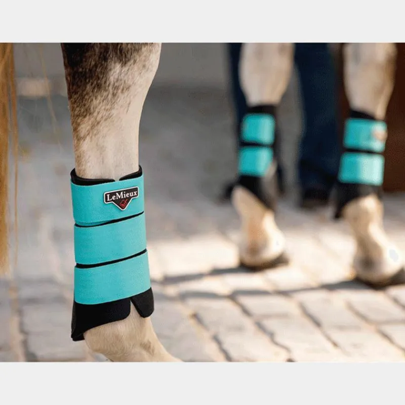 Guêtres Fermées*LeMieux - Guêtres fermées Grafter Azur x2 Noir
