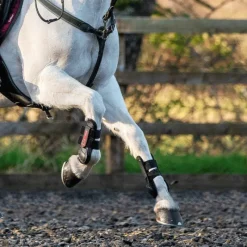 Hot - Guêtres Junior Pro x2 Cso|Guêtres Ouvertes Poneys