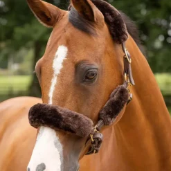 Best - Kit fourreau de licol Simuwool Accessoires De Licols