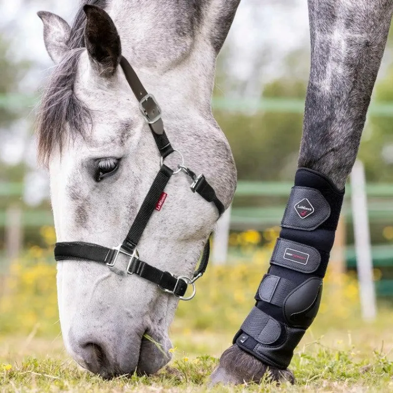 Discount - Licol Break Away Licols Poneys