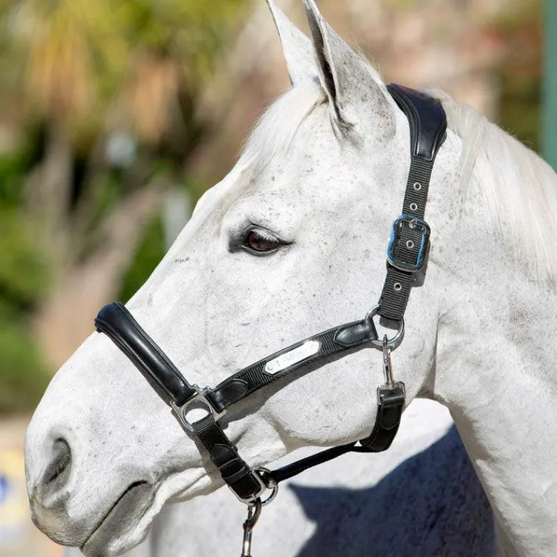 Online - Licol Capella Licols Poneys