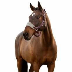 Online - Licol et longe Vogue damson Licols Poneys|Ensembles Licols Et Longes