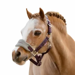 Online - Licol et longe Vogue damson Licols Poneys|Ensembles Licols Et Longes