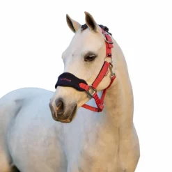 Sale - Licol et longe Vogue cranberry Licols Poneys|Ensembles Licols Et Longes