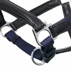 Licols Poneys*LeMieux - Licol pour chevaux Capella Marine