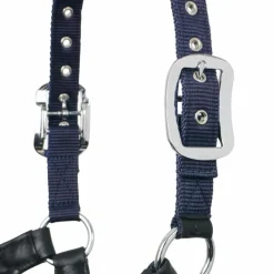 Licols Poneys*LeMieux - Licol pour chevaux Capella Marine