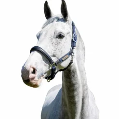 Licols Poneys*LeMieux - Licol pour chevaux Capella Marine