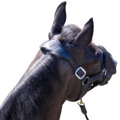 Licols Poneys*LeMieux - Licol pour chevaux Capella Marine