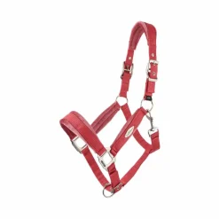 Sale - Licol pour chevaux Versailles cranberry Licols Poneys