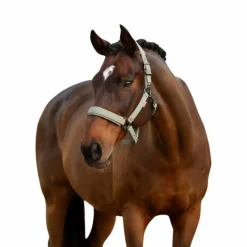 Discount - Licol pour chevaux Essence rosemary Licols Poneys