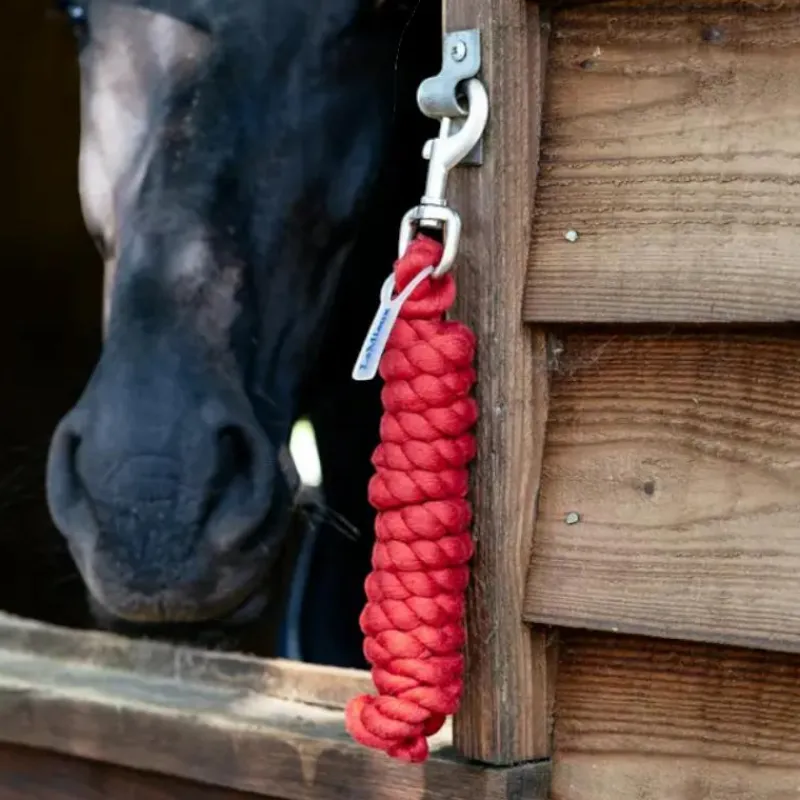 - Longe en polycoton Chilli Licols Poneys|Longes Classiques