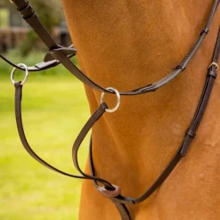 New - Martingale à anneaux Arika / argent Enrênements Poneys|Martingales