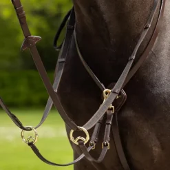 Best - Martingale à anneaux Kudos havane/ laiton Enrênements Poneys|Martingales