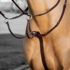 New - Martingale à anneaux Arika havane/ argent Enrênements Poneys|Martingales