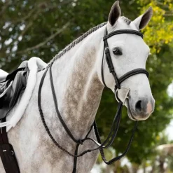Enrênements Poneys|Martingales*LeMieux - Martingale fixe Hunter / argent Noir