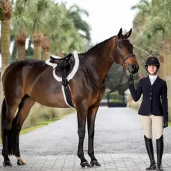 Best - Martingale fixe Hunter havane/ argent Enrênements Poneys|Martingales