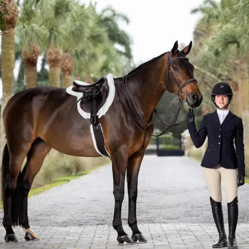 Best - Martingale fixe Hunter havane/ argent Enrênements Poneys|Martingales