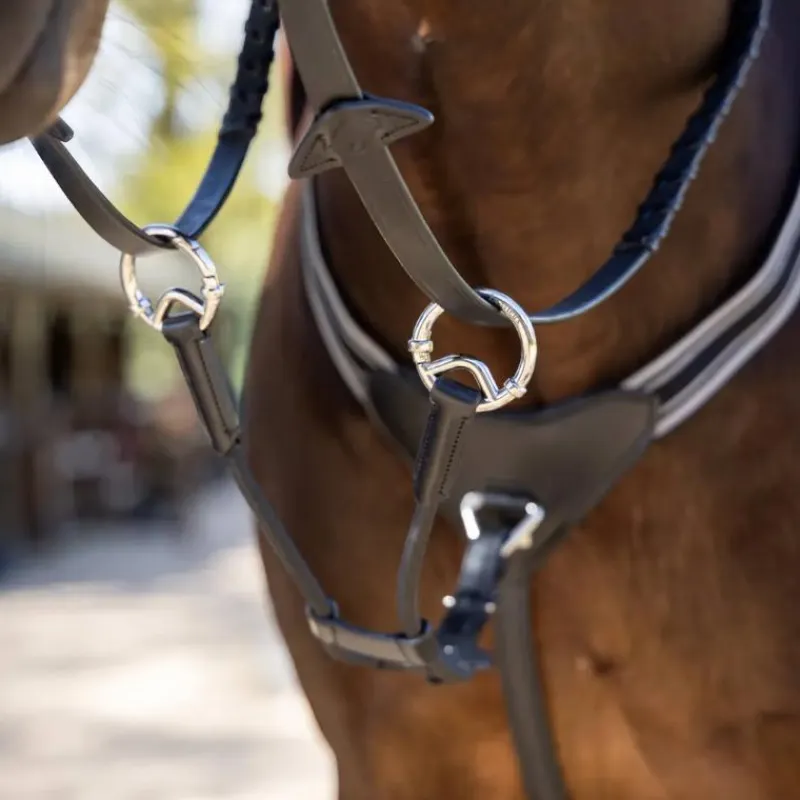 Sale - Martingale élastique / argent Enrênements Poneys|Martingales