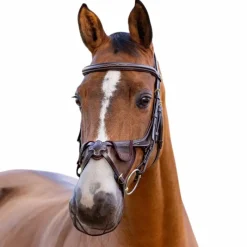 New - Protection de nasaux Comfort Shield Grackle Protections Pour Naseaux|Accessoires De Bridon