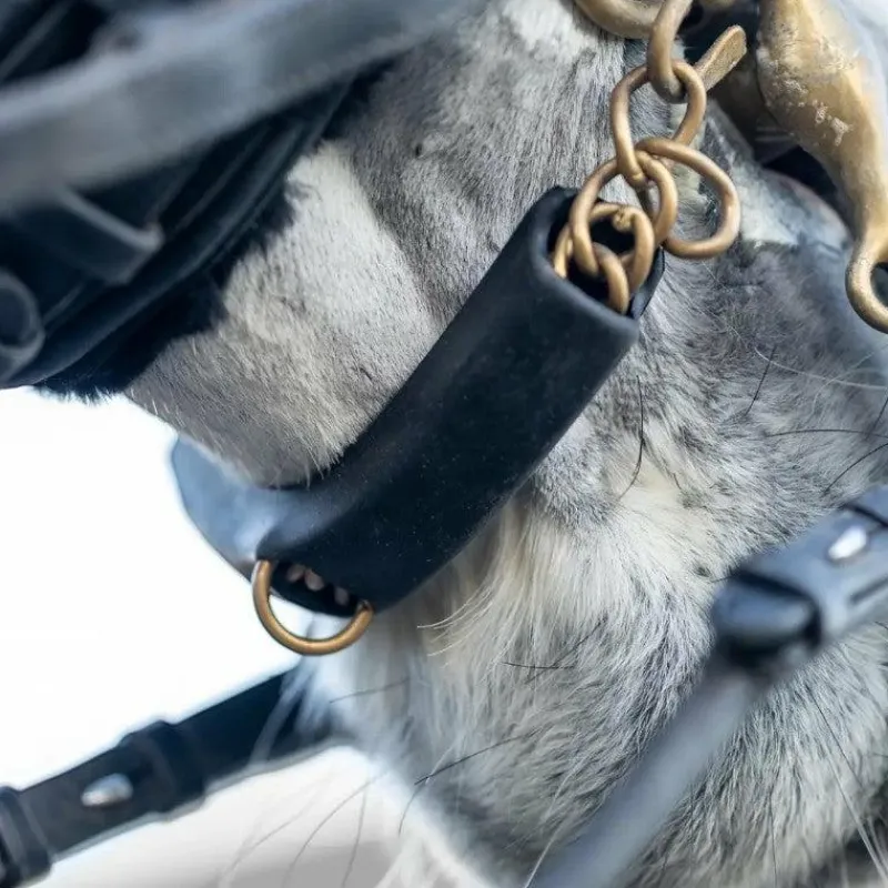 New - Protège gourmette Curb Chain Accessoires De Bridon