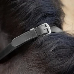 Rênes Et Arrêtoirs De Rênes Poneys|Rênes Et Arrêtoirs De Rênes*LeMieux - Rênes Magna Grip / argent Noir